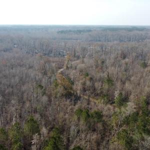 Photo #11 of TBD Hunters Chapel Rd, Ehrhardt, SC 736.0 acres