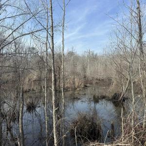 Photo #37 of TBD Hunters Chapel Rd, Ehrhardt, SC 736.0 acres