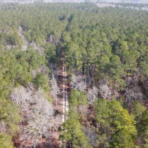 Photo #9 of TBD Hunters Chapel Rd, Ehrhardt, SC 736.0 acres
