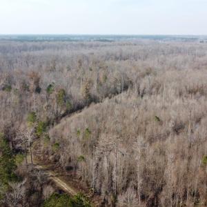 Photo #10 of TBD Hunters Chapel Rd, Ehrhardt, SC 736.0 acres