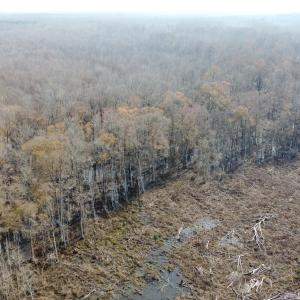 Photo #13 of TBD Hunters Chapel Rd, Ehrhardt, SC 736.0 acres