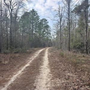 Photo #25 of TBD Hunters Chapel Rd, Ehrhardt, SC 736.0 acres