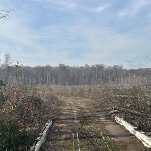 Photo #46 of TBD Hunters Chapel Rd, Ehrhardt, SC 736.0 acres