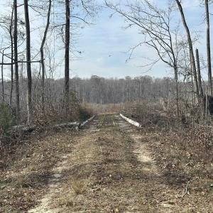 Photo #42 of TBD Hunters Chapel Rd, Ehrhardt, SC 736.0 acres