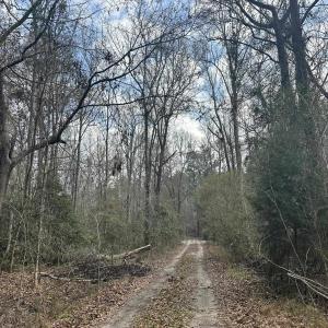 Photo #21 of TBD Hunters Chapel Rd, Ehrhardt, SC 736.0 acres