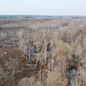 Photo #4 of TBD Hunters Chapel Rd, Ehrhardt, SC 736.0 acres
