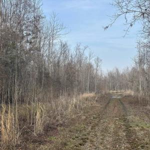 Photo #31 of TBD Hunters Chapel Rd, Ehrhardt, SC 736.0 acres