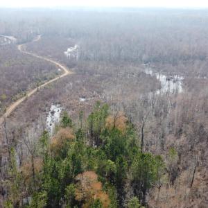 Photo #8 of TBD Hunters Chapel Rd, Ehrhardt, SC 736.0 acres