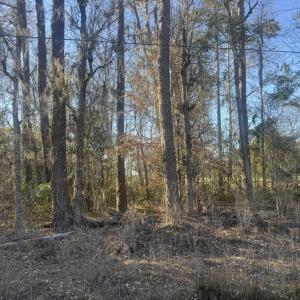 Photo #5 of 2135 Highway 646, Green Sea, SC 10.7 acres