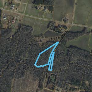 Photo #11 of 2135 Highway 646, Green Sea, SC 10.7 acres
