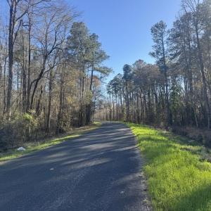 Photo #9 of 2135 Highway 646, Green Sea, SC 10.7 acres