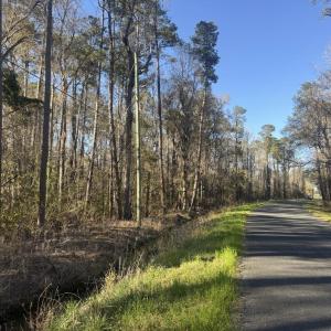 Photo #10 of 2135 Highway 646, Green Sea, SC 10.7 acres