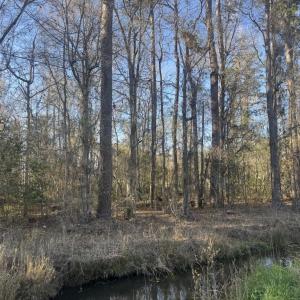 Photo #4 of 2135 Highway 646, Green Sea, SC 10.7 acres