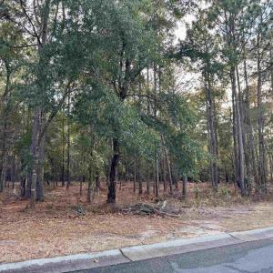 Photo #1 of Lot 63 Preservation Circle, Pawleys Island, SC 0.5 acres