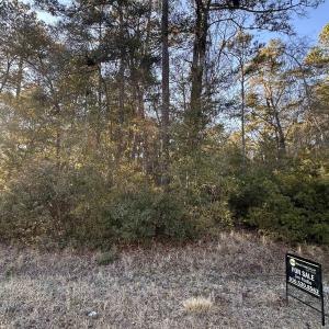 Photo #1 of Petigru Dr., Pawleys Island, SC 1.0 acres
