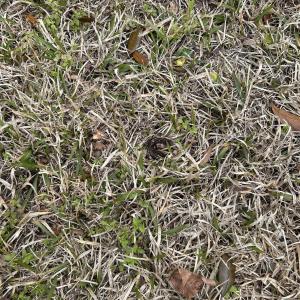 Photo #6 of 325 Kauffman St., Georgetown, SC 0.3 acres