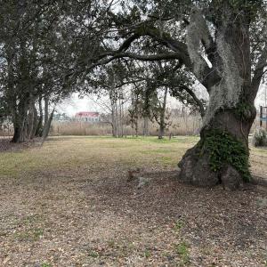 Photo #1 of 325 Kauffman St., Georgetown, SC 0.3 acres