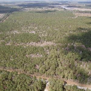 Photo #7 of Tract D - TBD Pennyroyal Rd., Georgetown, SC 5.3 acres