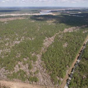 Photo #2 of Tract D - TBD Pennyroyal Rd., Georgetown, SC 5.3 acres