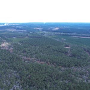 Photo #15 of Tract D - TBD Pennyroyal Rd., Georgetown, SC 5.3 acres