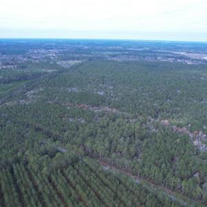 Photo #12 of Tract D - TBD Pennyroyal Rd., Georgetown, SC 5.3 acres