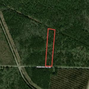 Photo #23 of Tract D - TBD Pennyroyal Rd., Georgetown, SC 5.3 acres