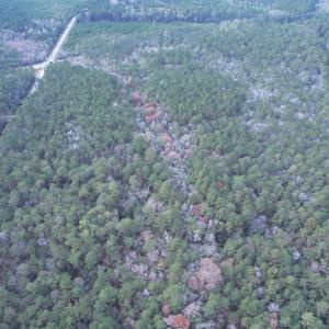 Photo #11 of Tract D - TBD Pennyroyal Rd., Georgetown, SC 5.3 acres