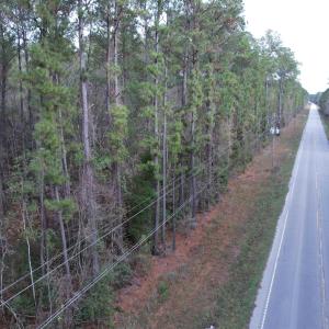 Photo #17 of Tract D - TBD Pennyroyal Rd., Georgetown, SC 5.3 acres