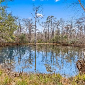 Photo #20 of TBD Shadow Moss Ln., Murrells Inlet, SC 2.9 acres
