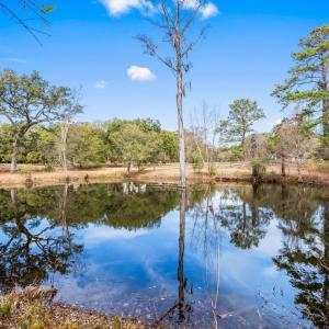 Photo #22 of TBD Shadow Moss Ln., Murrells Inlet, SC 2.9 acres