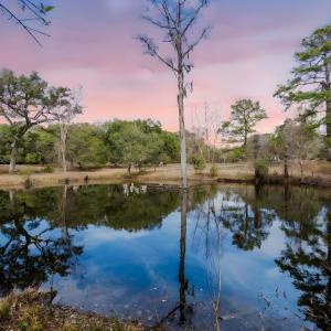 Photo #28 of TBD Shadow Moss Ln., Murrells Inlet, SC 2.9 acres