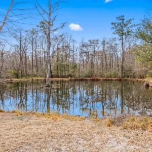 Photo #21 of TBD Shadow Moss Ln., Murrells Inlet, SC 2.9 acres