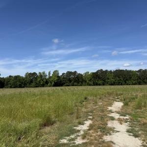 Photo #19 of 4633 Grainger Circle, Green Sea, SC 22.8 acres