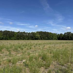 Photo #2 of 4633 Grainger Circle, Green Sea, SC 22.8 acres