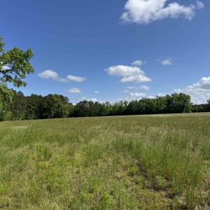 Photo #8 of 4633 Grainger Circle, Green Sea, SC 22.8 acres