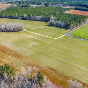 Photo #11 of 4633 Grainger Circle, Green Sea, SC 22.8 acres