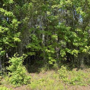 Photo #18 of 4633 Grainger Circle, Green Sea, SC 22.8 acres