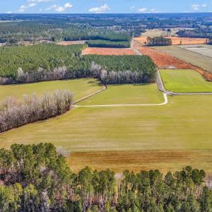 Photo #14 of 4633 Grainger Circle, Green Sea, SC 22.8 acres