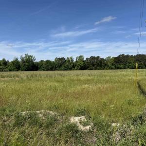 Photo #22 of 4633 Grainger Circle, Green Sea, SC 22.8 acres