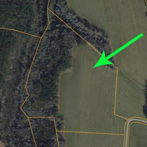 Photo #4 of 4633 Grainger Circle, Green Sea, SC 22.8 acres