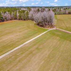 Photo #9 of 4633 Grainger Circle, Green Sea, SC 22.8 acres