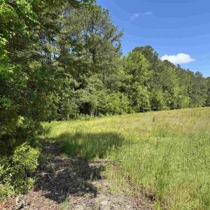 Photo #17 of 4633 Grainger Circle, Green Sea, SC 22.8 acres