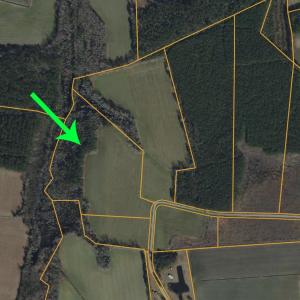 Photo #5 of 4633 Grainger Circle, Green Sea, SC 22.8 acres