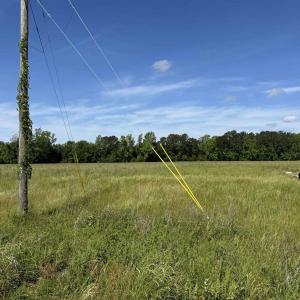 Photo #21 of 4633 Grainger Circle, Green Sea, SC 22.8 acres