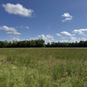 Photo #16 of 4633 Grainger Circle, Green Sea, SC 22.8 acres