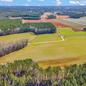 Photo #3 of 4633 Grainger Circle, Green Sea, SC 22.8 acres