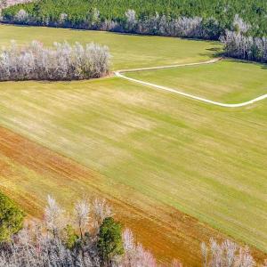 Photo #13 of 4633 Grainger Circle, Green Sea, SC 22.8 acres