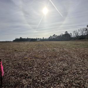 Photo #5 of TBD Cool Springs Rd, Marion, SC 10.6 acres