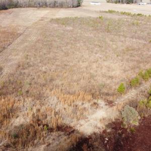 Photo #3 of TBD Cool Springs Rd, Marion, SC 10.6 acres