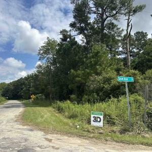 Photo #1 of TBD Millers Rd., Marion, SC 0.4 acres
